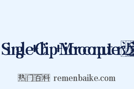 Single+Chip+Microcomputer近义词是什么意思的图片